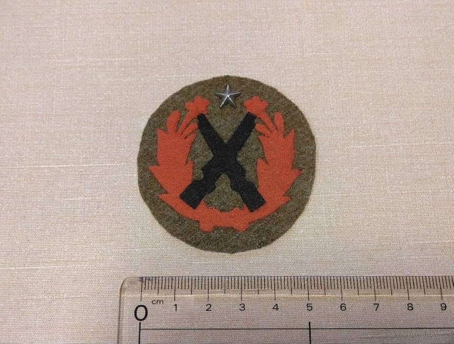 Amazon.co.jp: 複製 日本陸軍旧日本軍 射撃優等章 狙撃兵徽章